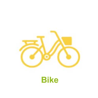 Bike Rentals