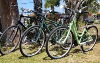 Hybrid Bikes for rent