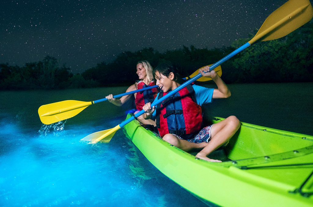 Bioluminescense at night in a kayak