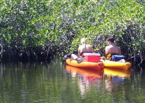 Backwater kayaking
