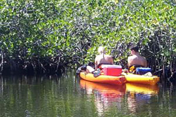 backwater kayaking