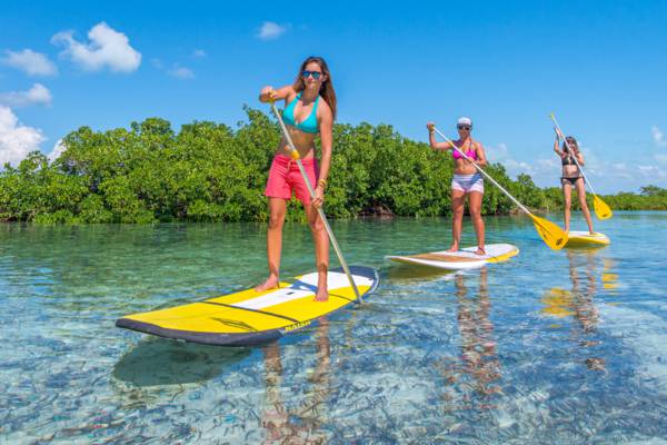 women on stand up paddleboards in the river on an eco tour